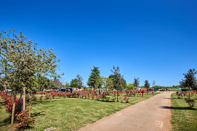 Classic Kampeerplek Plus op Camping Park Umag