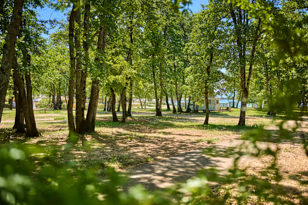 Staanplaats met caravan op Camping Park Umag
