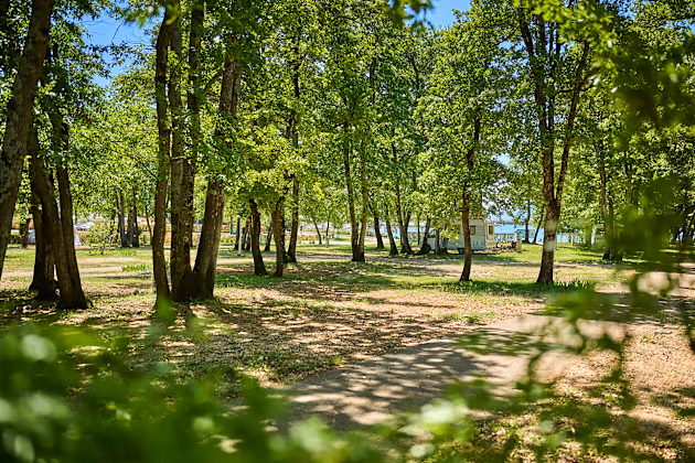 Classic Kampeerplek op Camping Park Umag