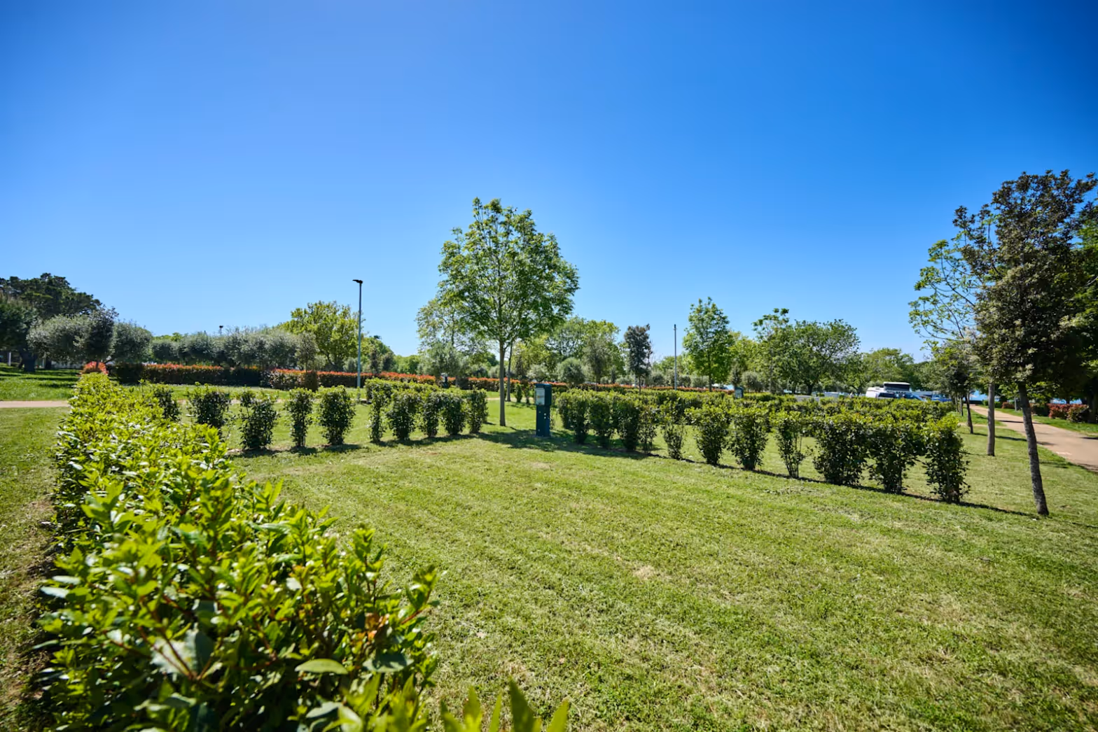 Superior Kampeerplek op Camping Park Umag
